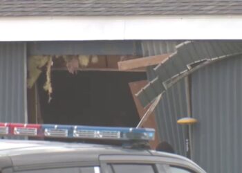 Tragidy strikes Michigan, two young siblings killed, many hurt after car crashes into…