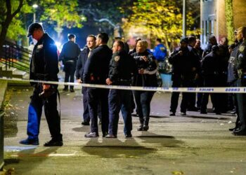 News Alert: An Ambush and a Tragedy in Brooklyn